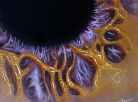 Tattoos - The Edge Of A SOUL - 61075